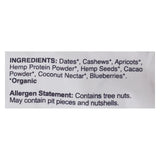 Evo Hemp Organic Hemp Bars - Cashew Cacao Antioxidant - 1.69 Oz Bars - Case Of 12
