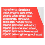 Guru Energy Drink Organic Energy Drink - Case Of 12 - 12 Fl Oz.