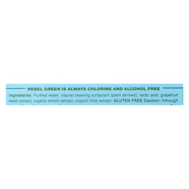 Rebel Green Cleaning Wipes - Fruit And Veggie - Case Of 12 - 17 Fl Oz