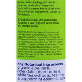 Eo Products Liquid Hand Soap Peppermint And Tea Tree - 12 Fl Oz