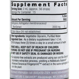 Nature's Answer Astragalus Root Alcohol Free - 1 Fl Oz