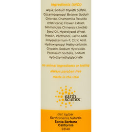 Earth Science Pure Essentials Shampoo Fragrance Free - 12 Fl Oz