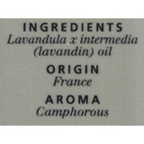 Aura Cacia Pure Essential Oil Lavandin - 0.5 Fl Oz