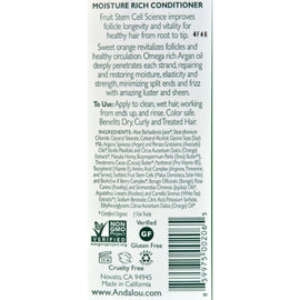 Andalou Naturals Moisture Rich Conditioner Argan And Sweet Orange - 11.5 Fl Oz