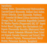 Eo Products Everyone Liquid Soap Citrus And Mint - 32 Fl Oz