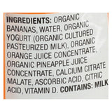 Earth's Best Baby Foods Organic Fruit Yogurt Smoothie - Pineapple Banana And Orange - Case Of 12 - 4.2 Oz.