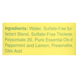 Rebel Green Dish Soap - Peppermint And Lemon - Deluxe - Case Of 4 - 16 Fl Oz