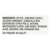 Glee Gum Sugar-free Gum - Wintergreen - Case Of 12 - 16 Pc